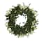 18" Eucalyptus & Dancing Daisy Double Ring Artificial Wreath With Twig Base
